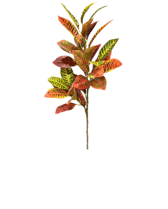 Vara de crotos naranja 90cm