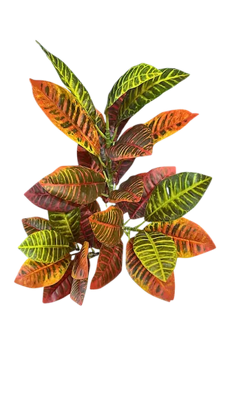 Vara de crotos naranja 90cm