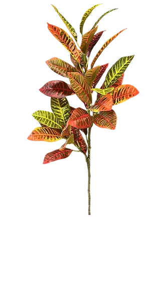 Vara de crotos naranja 90cm