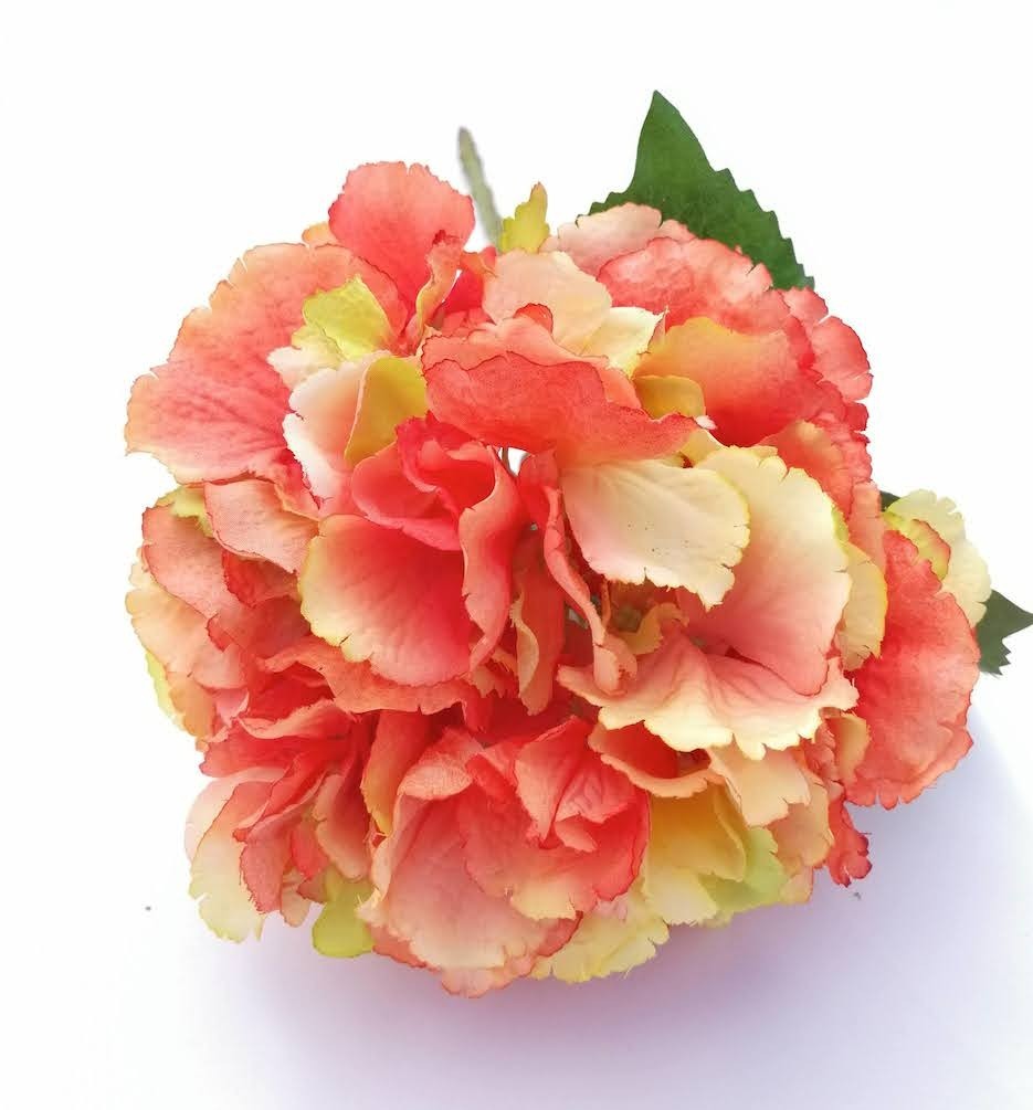 Hortensia Bloom 22cm diámetro naranja