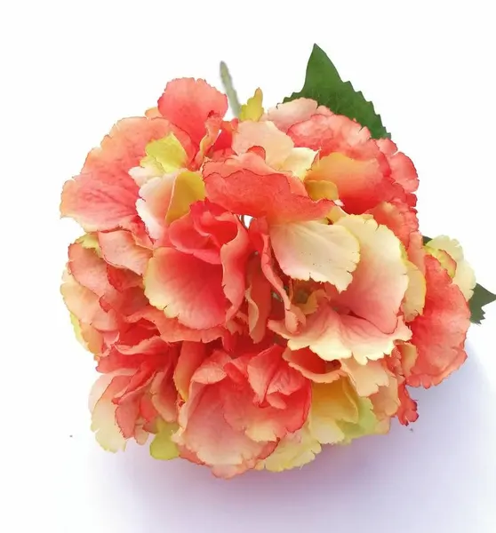 Hortensia Bloom 22cm diámetro naranja