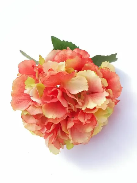 Hortensia Bloom 22cm diámetro naranja