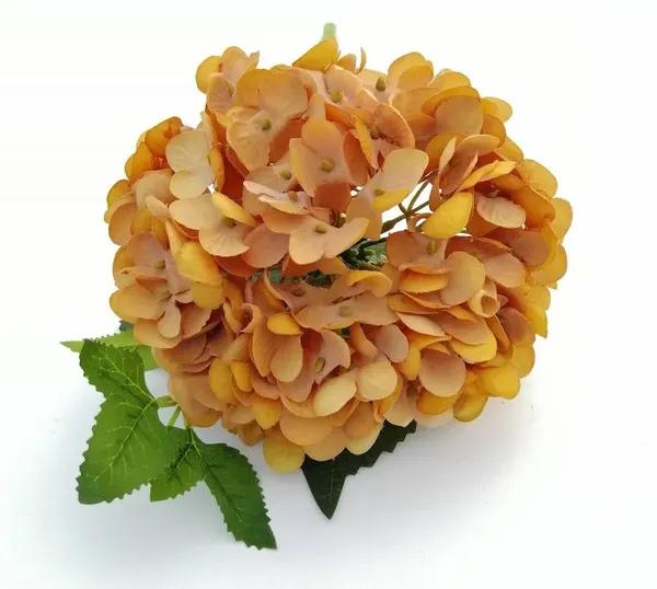 Hortensia Rina 13.5cm diam 46cm largo, varios colores