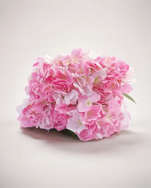 Ramo de Hortensias con 7 flores rosa