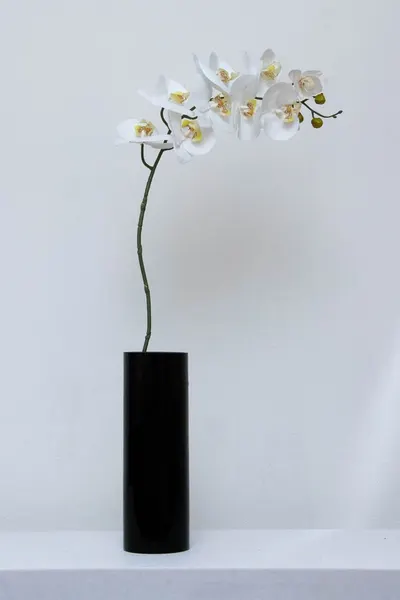 Orquídea phalaenopsis 9 flores 100cm, blanca y morada