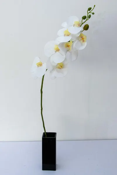 Orquidea phalaenopsis blanca 7 flores 100cm largo.