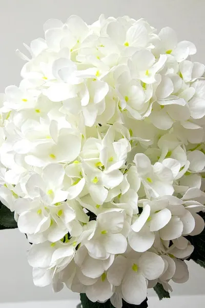 Ramo hortensia vintage blanco con 5 flores