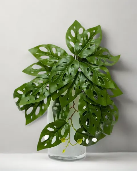 Colgante monstera andasonii 39cm largo