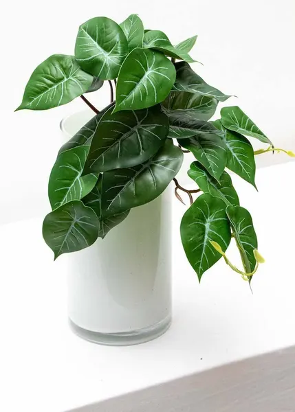 Colgante philodendron 28cm largo, soft touch