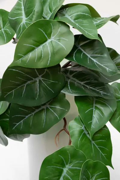 Colgante philodendron 28cm largo, soft touch