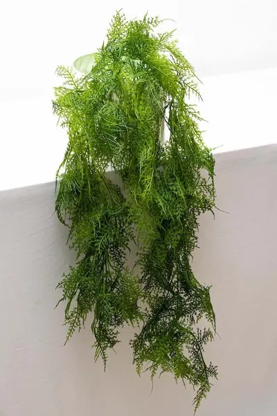 Colgante davalia 90cm