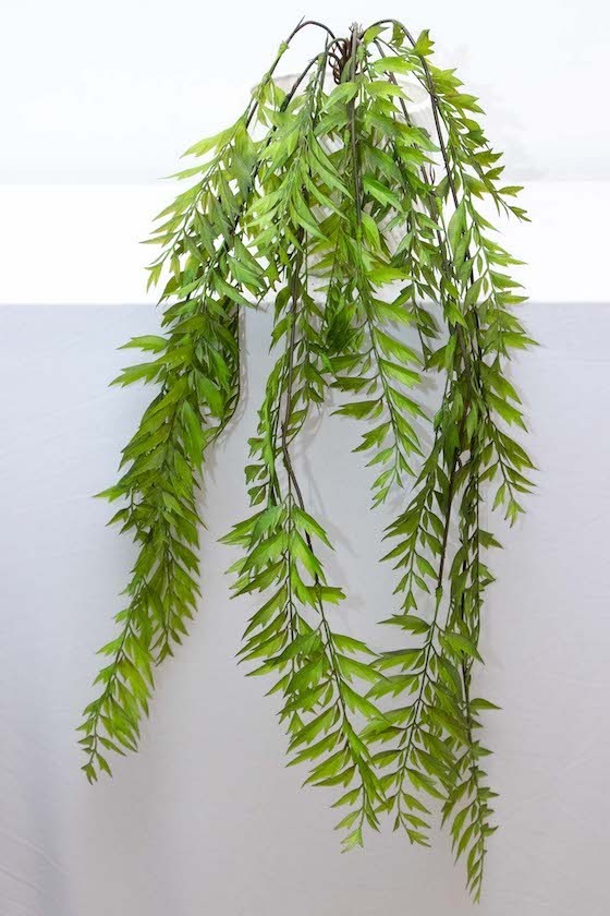 Colgante de helecho 105cm de altura