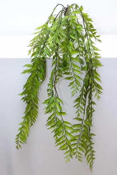 Colgante de helecho 105cm de altura