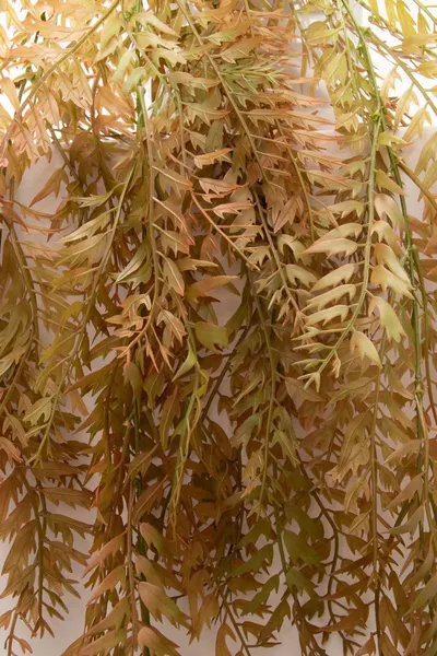Colgante de hojitas de roble 110cm