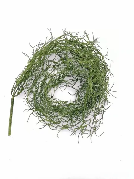 Colgante de zacatillo verde seco 95cm
