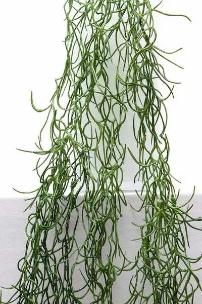 Colgante de zacatillo verde seco 95cm