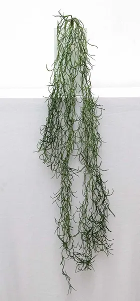 Colgante de zacatillo verde seco 95cm