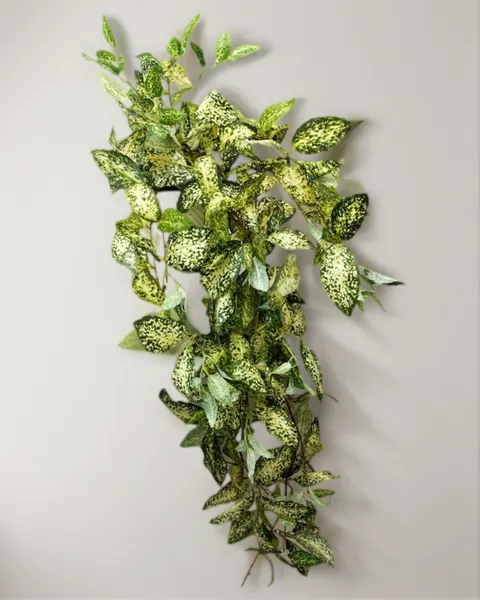 Colgante laurel japonés 105cm largo