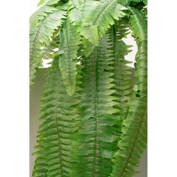 Helecho frondoso 120 cm largo