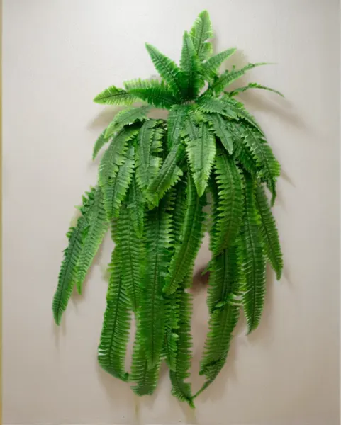 Helecho frondoso 120 cm largo