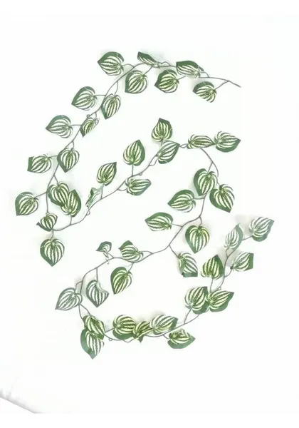 Guía de zebrina de tela 290 cm largo