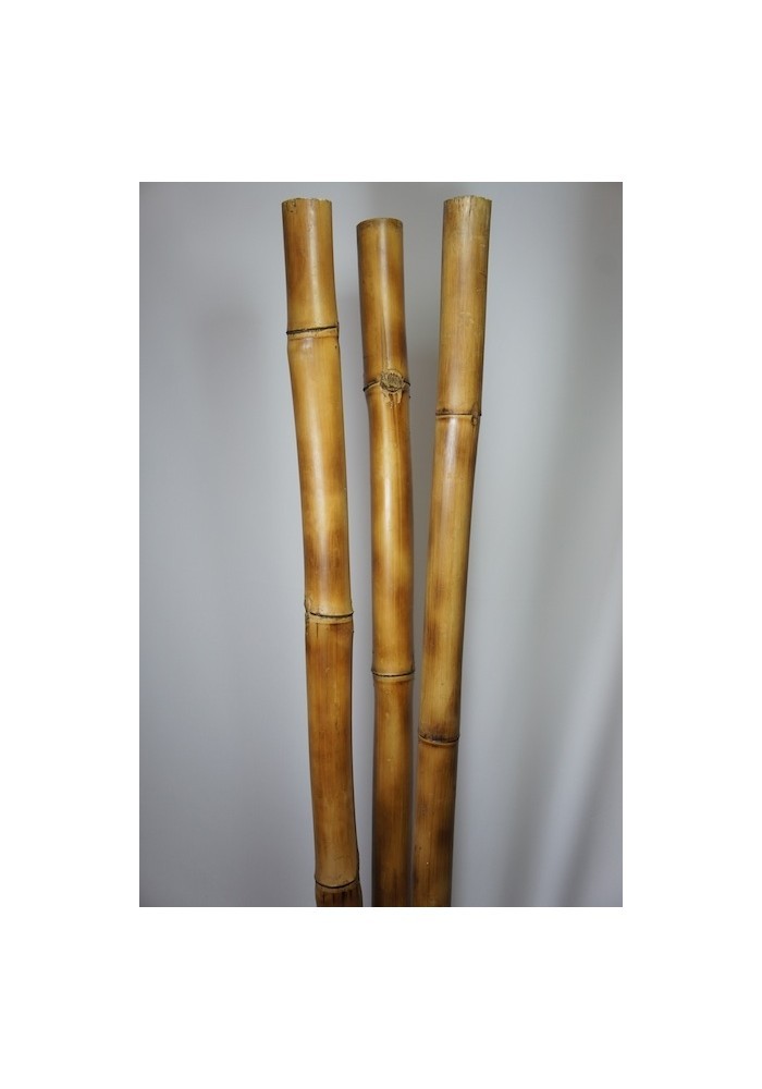 Vara de bambu natural 5-6cm