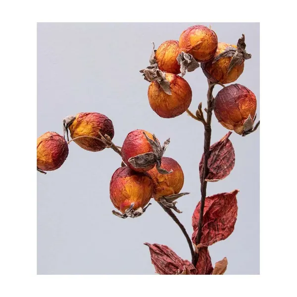 Vara de frutos secos 52cm, 4 colores