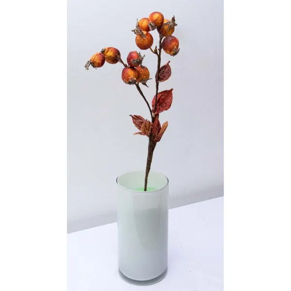 Vara de frutos secos 52cm, 4 colores