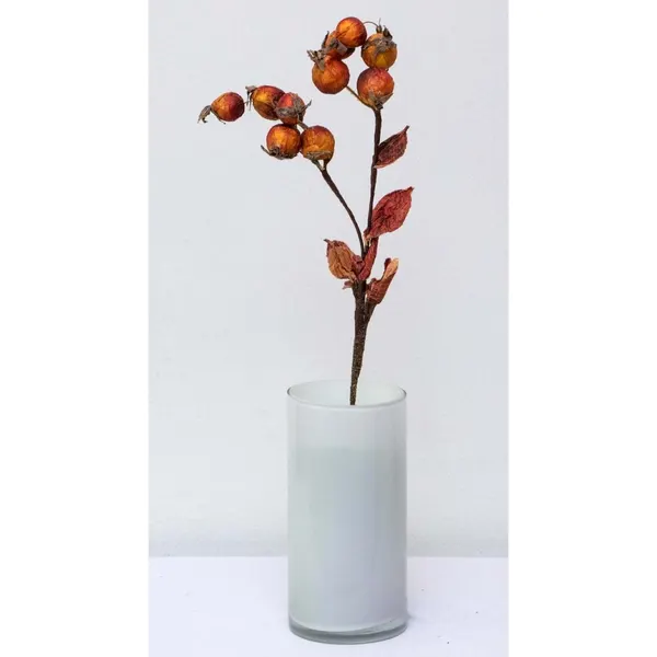 Vara de frutos secos 52cm, 4 colores