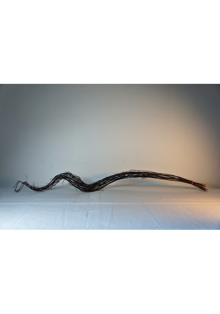 Varas de curly deshidratado 130cm