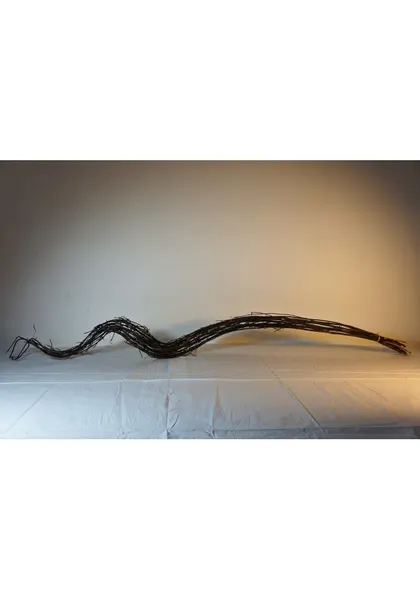 Varas de curly deshidratado 130cm