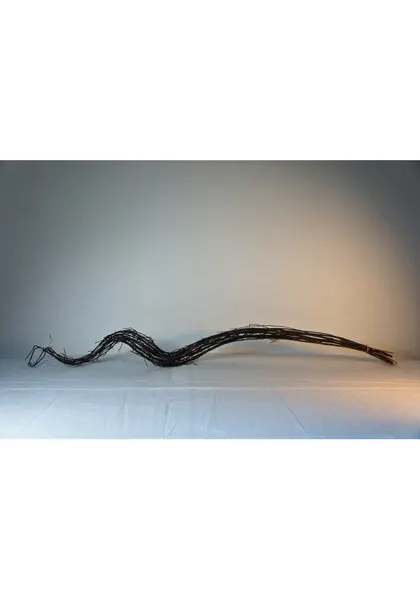 Varas de curly deshidratado 130cm