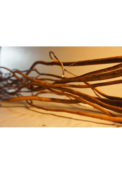 Varas deshidratadas kdn120cm