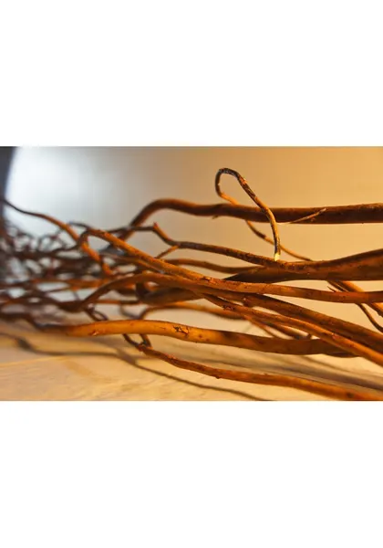 Varas deshidratadas kdn120cm
