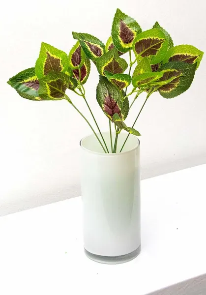 Follaje coleos rojo 37cm