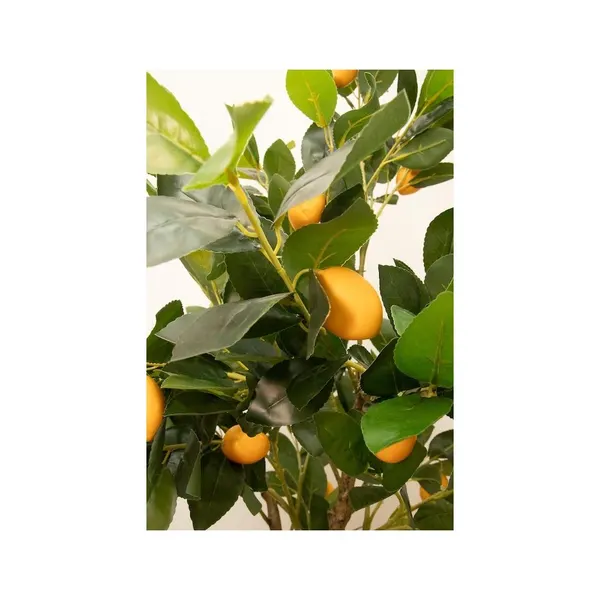 Árbol de limones 150 cm