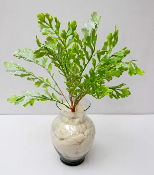 Follaje de Roble 40cm