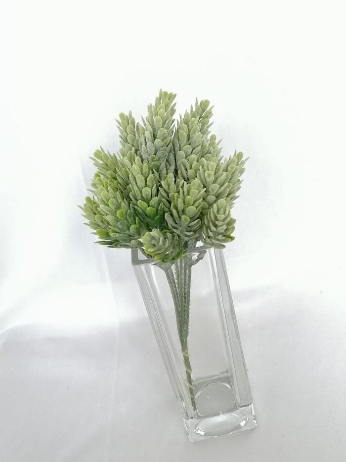 Follaje donkey tails 20cm altura
