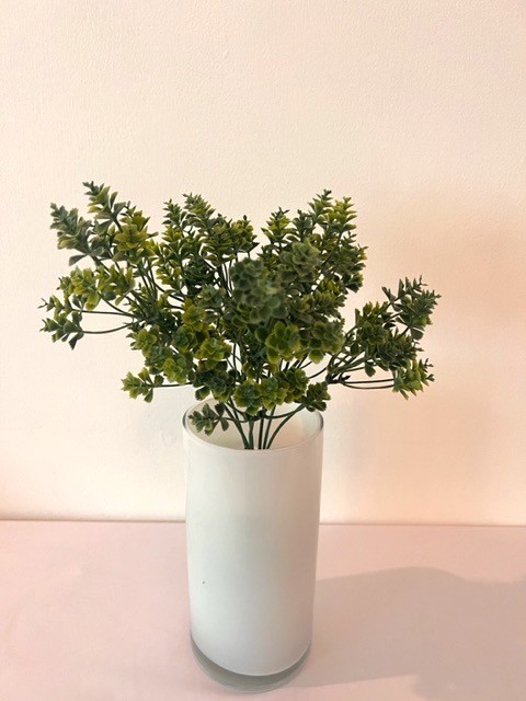 Follaje kalanchoe 30cm, dos colores.