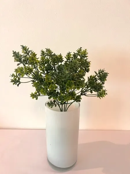 Follaje kalanchoe 30cm, dos colores.