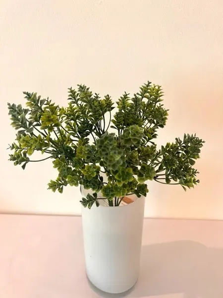 Follaje kalanchoe 30cm, dos colores.