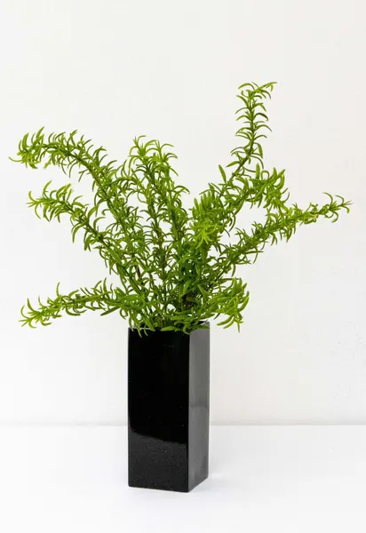 Follaje romero textura natural 45cm
