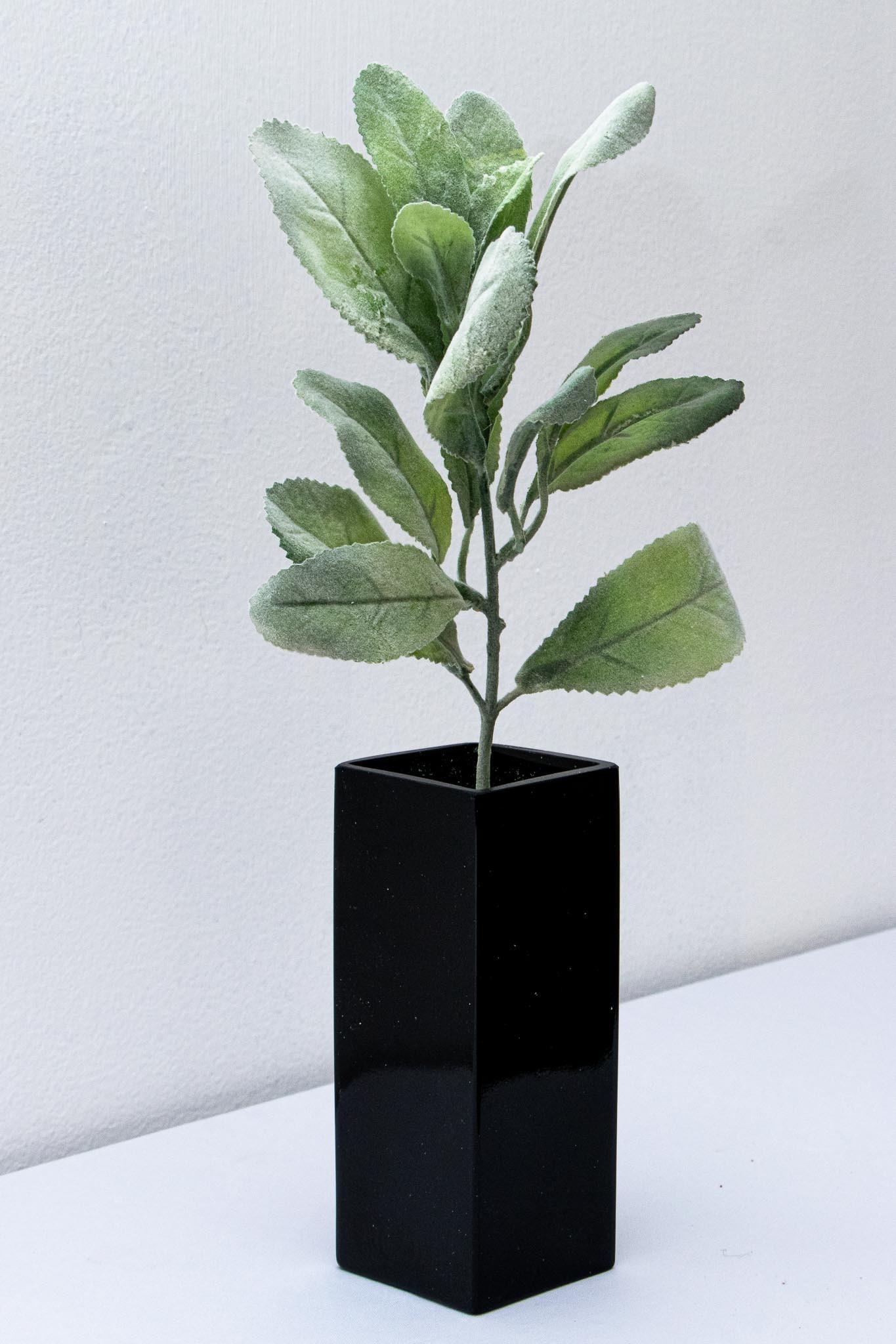 Hojas cenizas evergreen 36cm