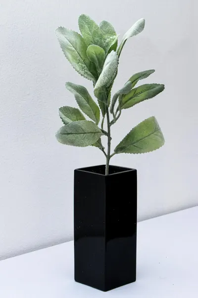 Hojas cenizas evergreen 36cm