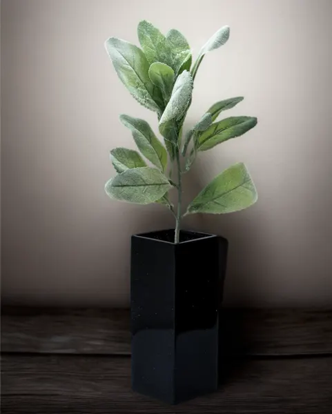 Hojas cenizas evergreen 36cm