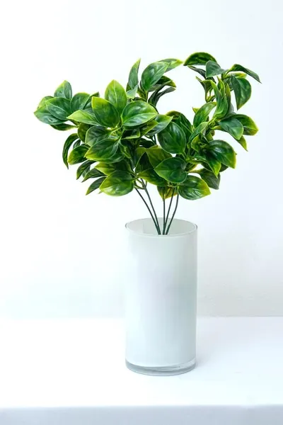 Plantita evonimo verde 37cm altura