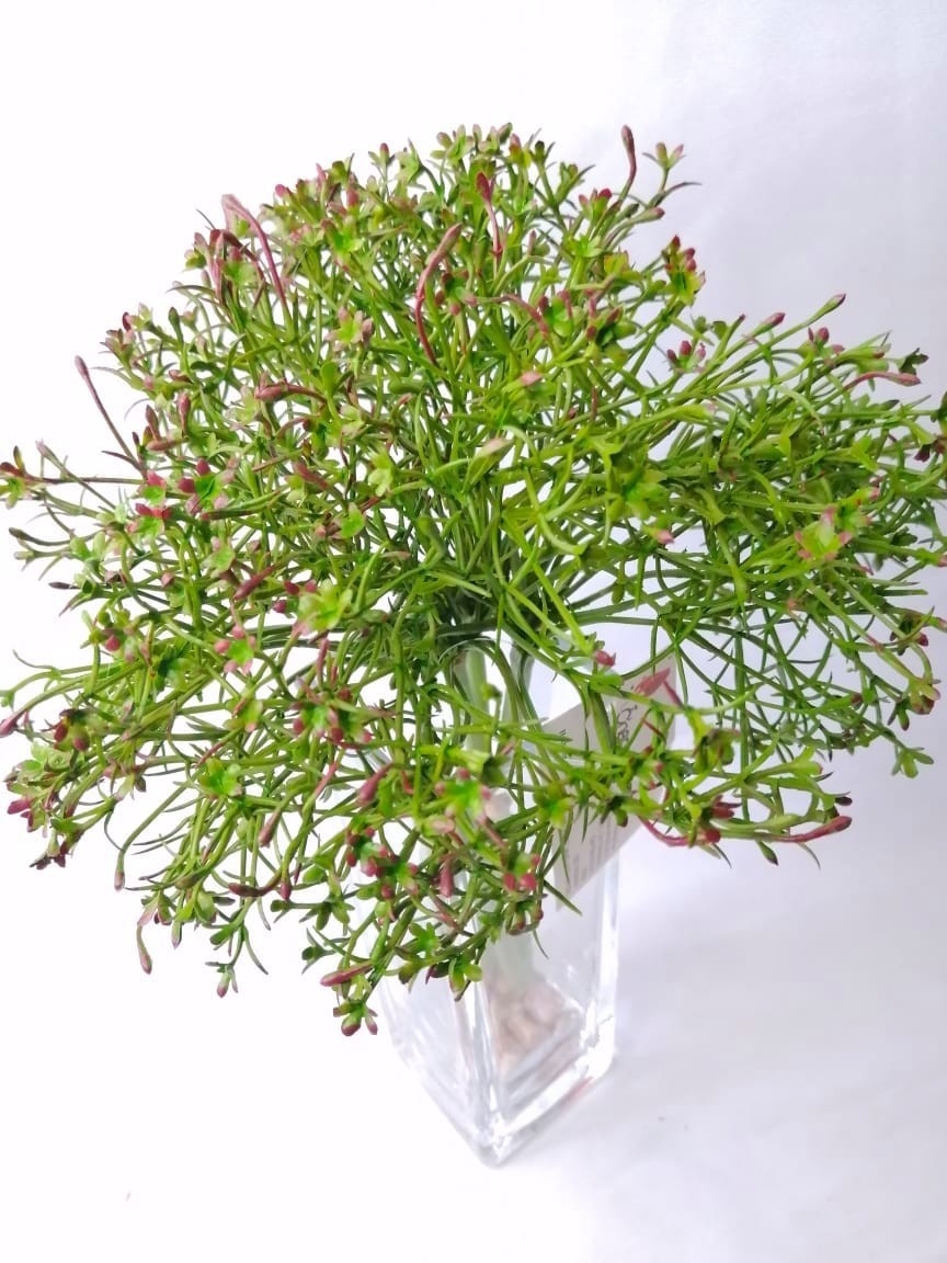 Ramillete de green tree 38cm largo, 3 varitas, 9cm de diámetro/pza