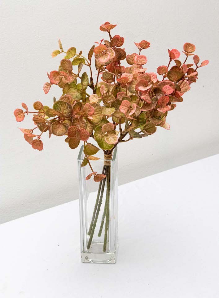 Ramito de peperonia 35cm largo, tres colores