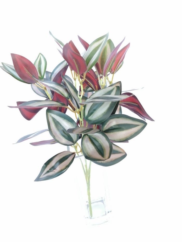 Tradescantia con 5 varas, 32cm
