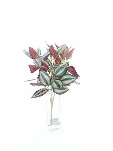 Tradescantia con 5 varas, 32cm